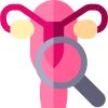 uterus (1) uterus (1)